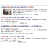 招远朱安安：SEO外链代发行业大揭密